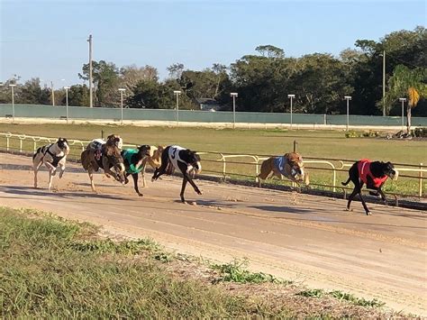 Sanford orlando kennel club results - Sanford Orlando Kennel Club, Longwood, Florida. 3,374 likes · 7 talking about this · 13,981 were here. Full Card Simulcasting Monday, Wednesday-Sunday. Restaurant and Sports Bar.